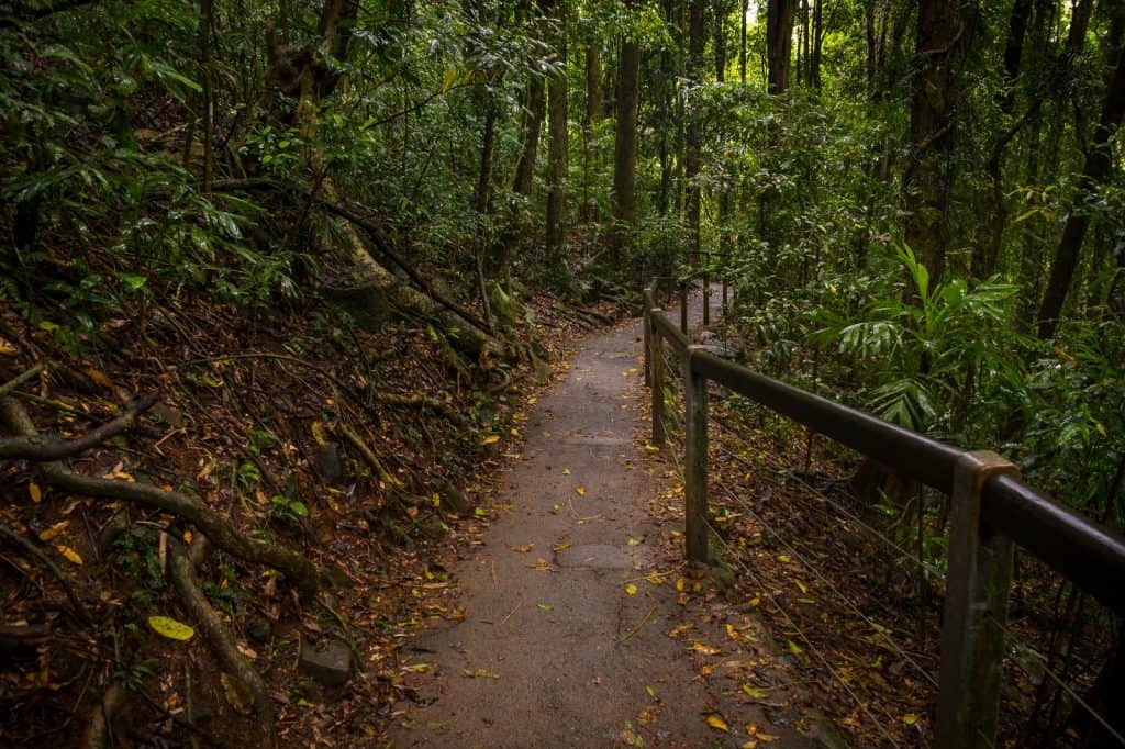 Springbrook