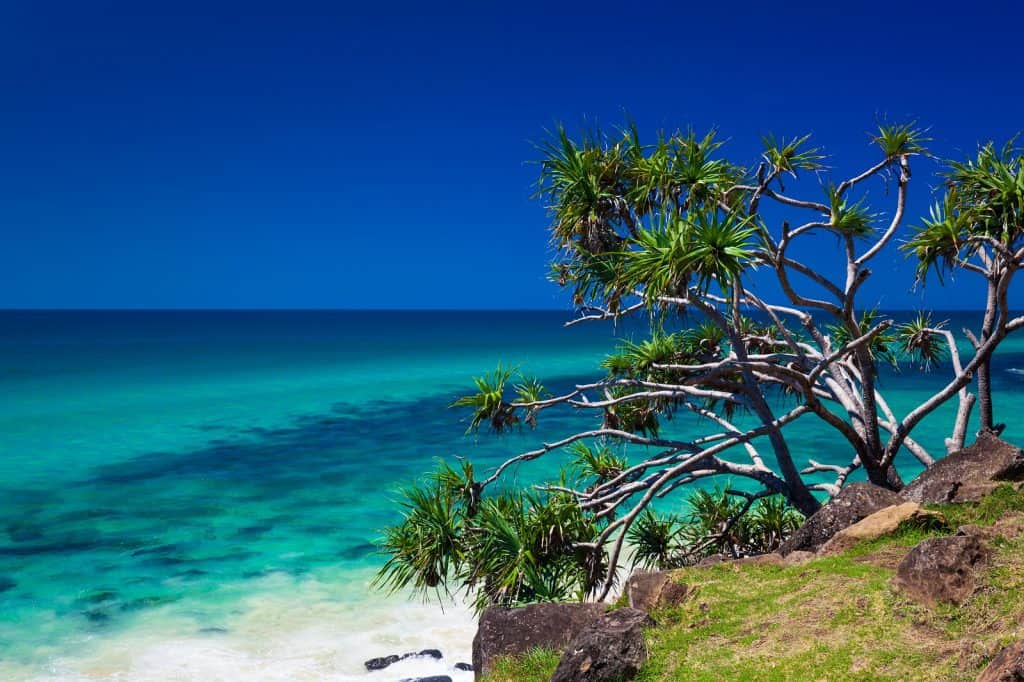Parque nacional Burleigh Head