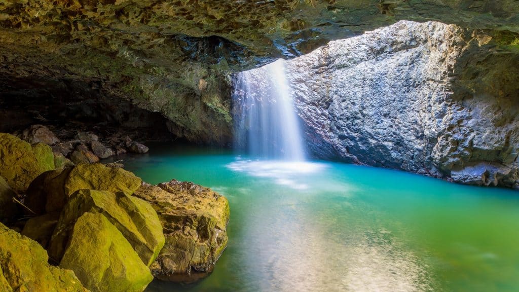 Parque nacional Springbrook