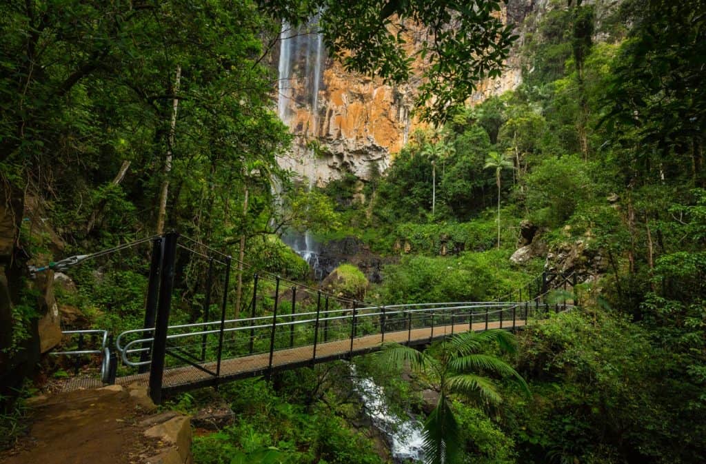 Parque nacional Springbrook