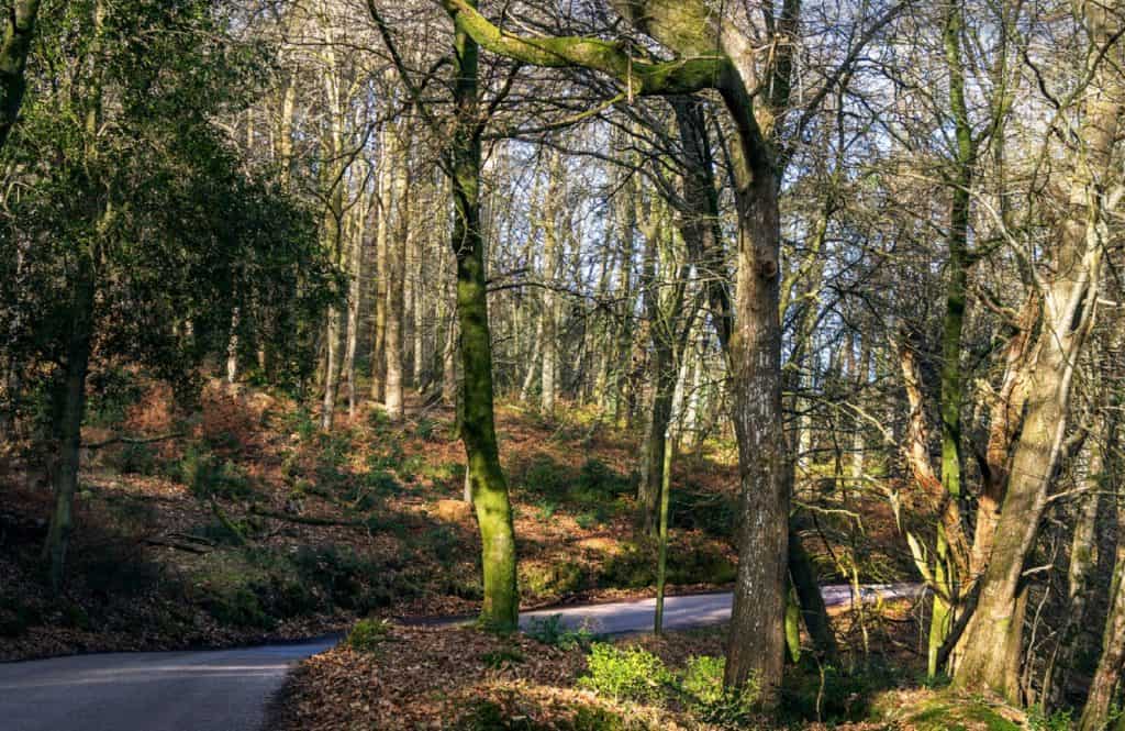 Parque nacional de Exmoor