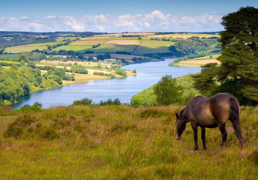 Parque nacional de Exmoor