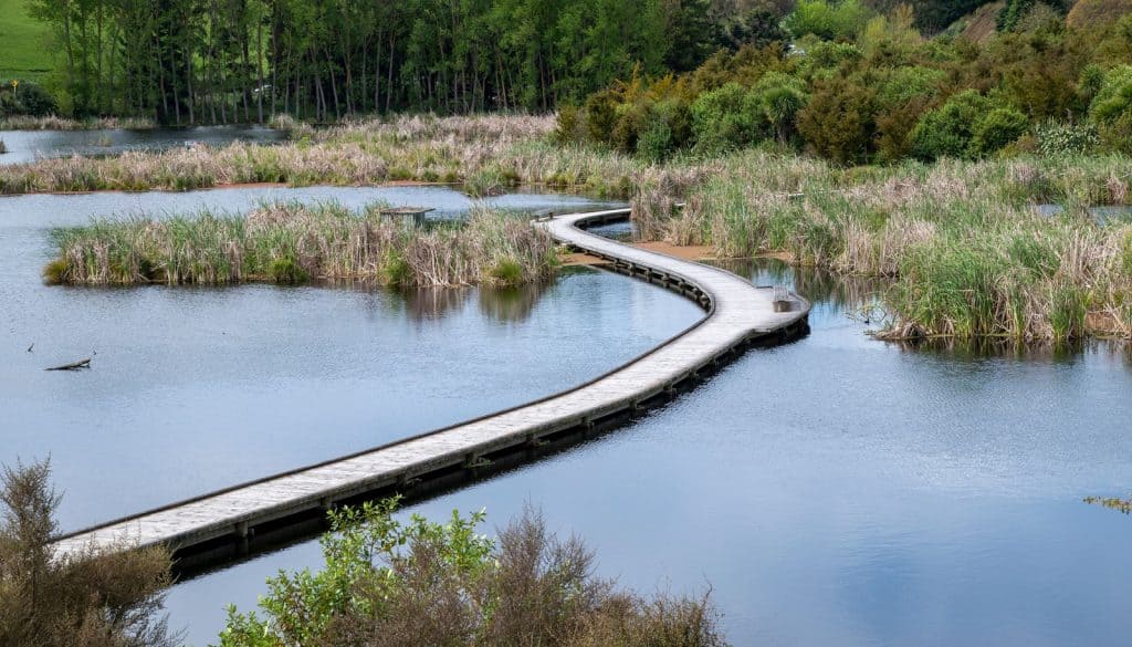 Pekapeka Regional Park