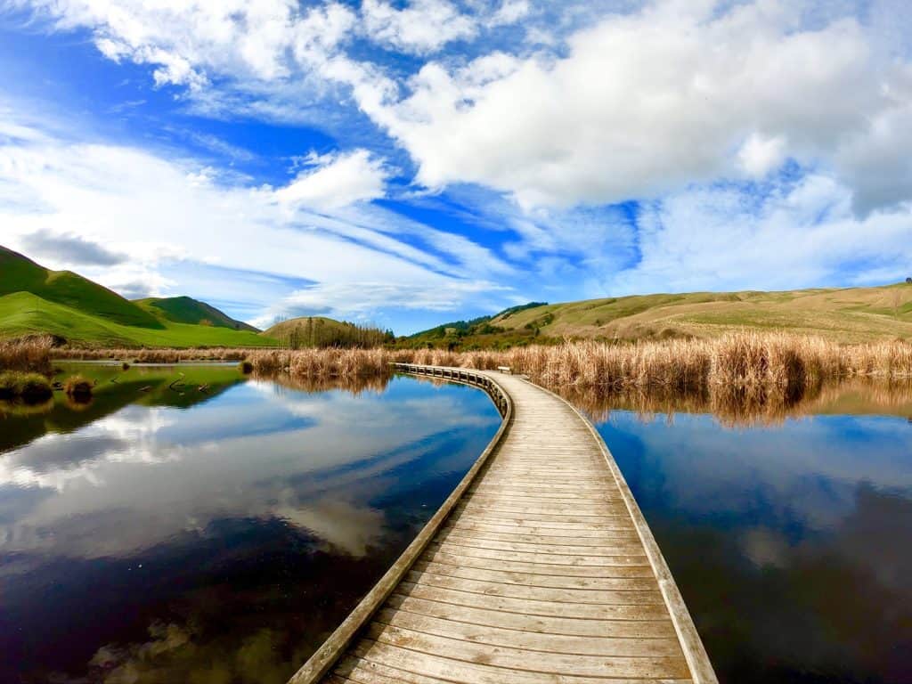 Pekapeka Regional Park