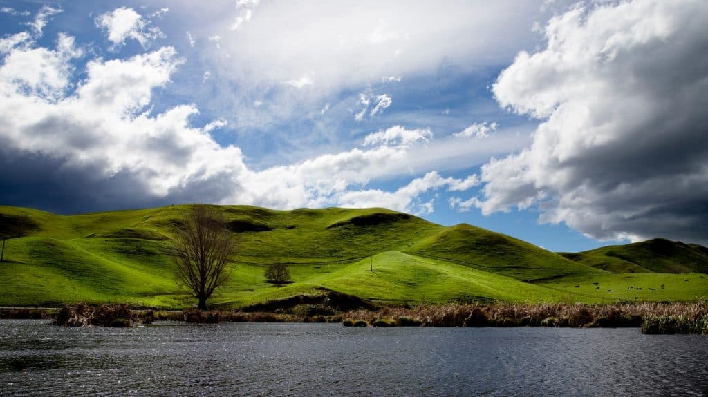Pekapeka Regional Park
