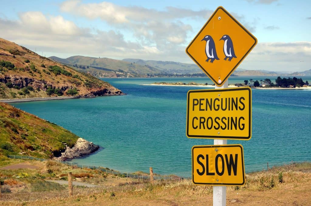 Península de Otago