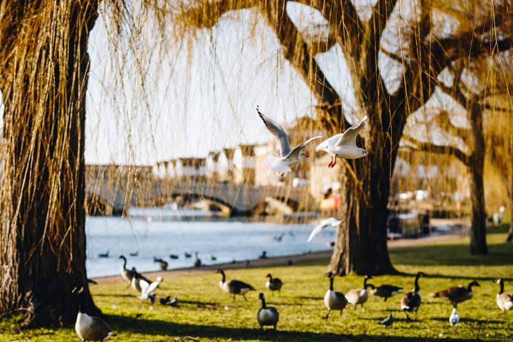 Peterborough