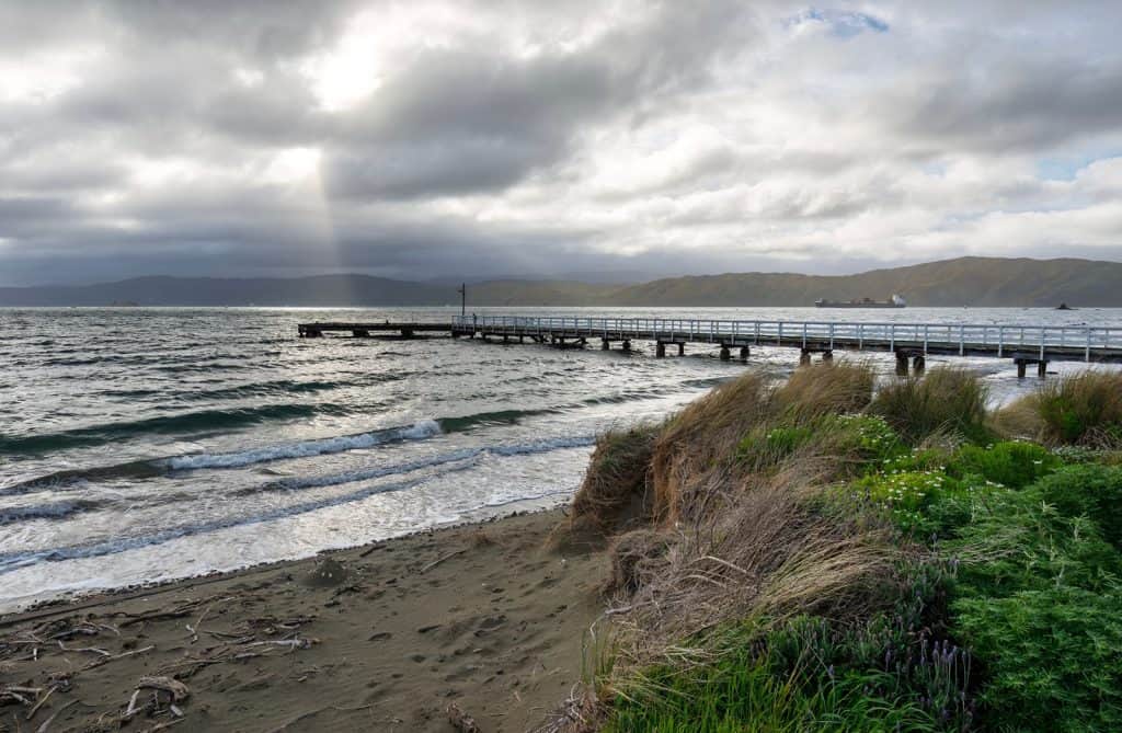Petone Foreshore