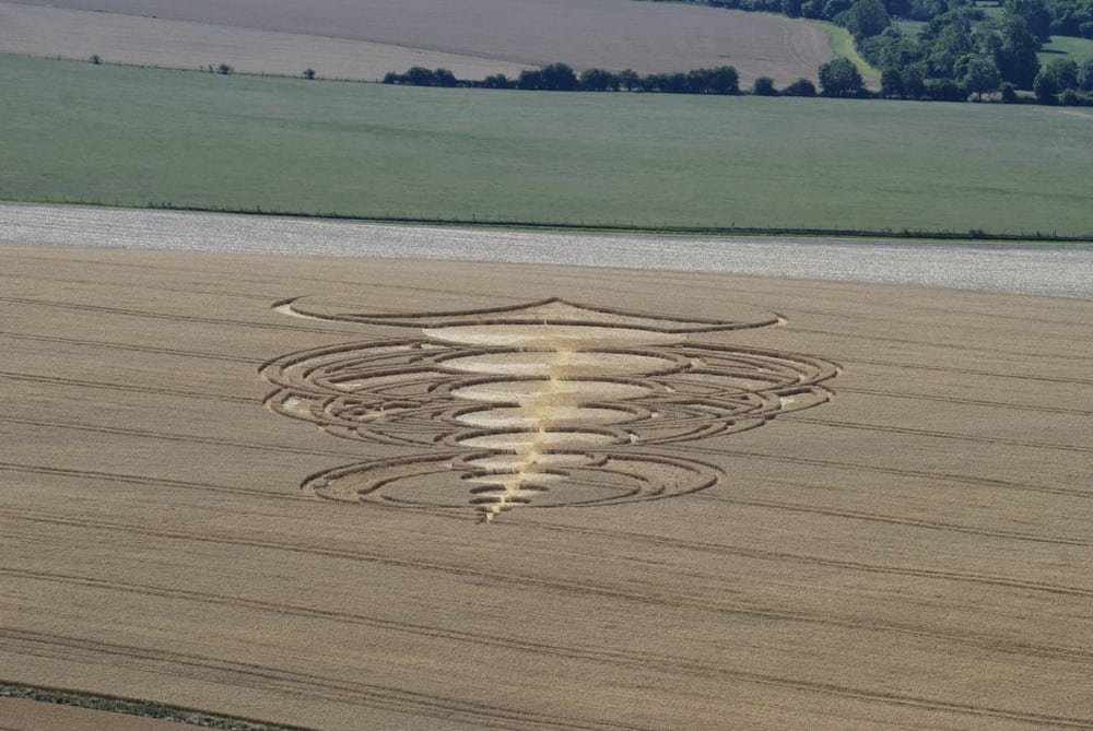 Crop Circle en Pewsey, Wiltshire, Reino Unido