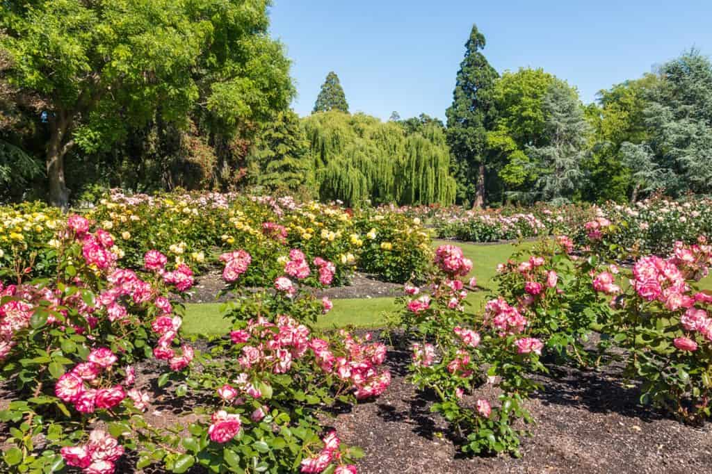 Pollard Park
