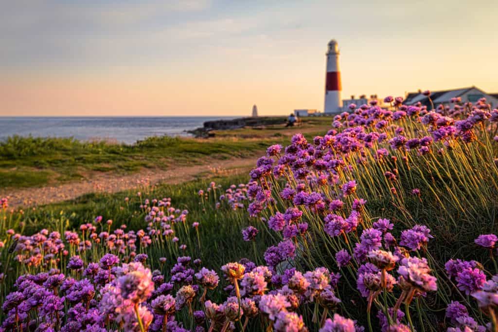 Portland Bill