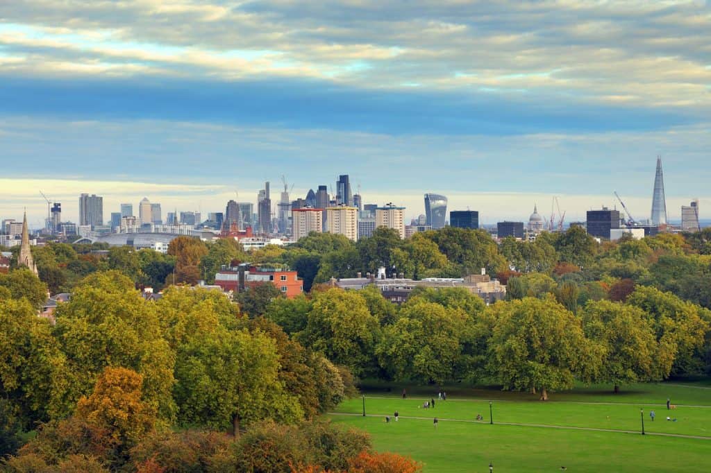 Primrose Hill