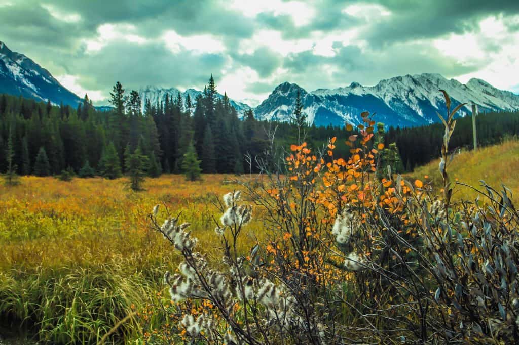 Bear Creek Provincial Park