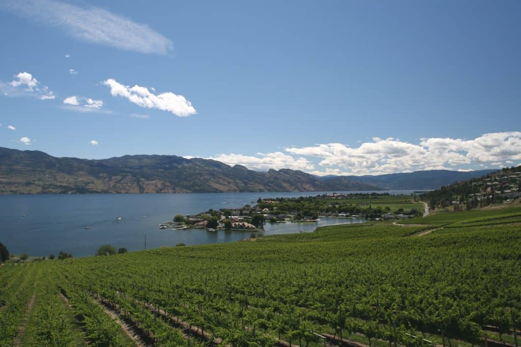 Quails' Gate Winery