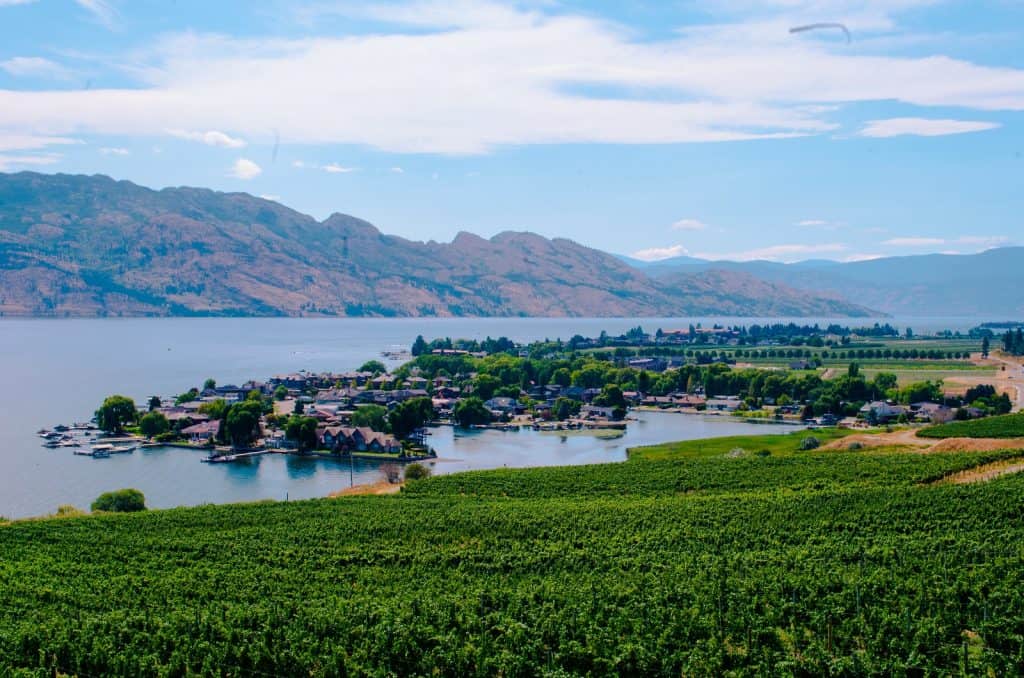 Quails' Gate Winery