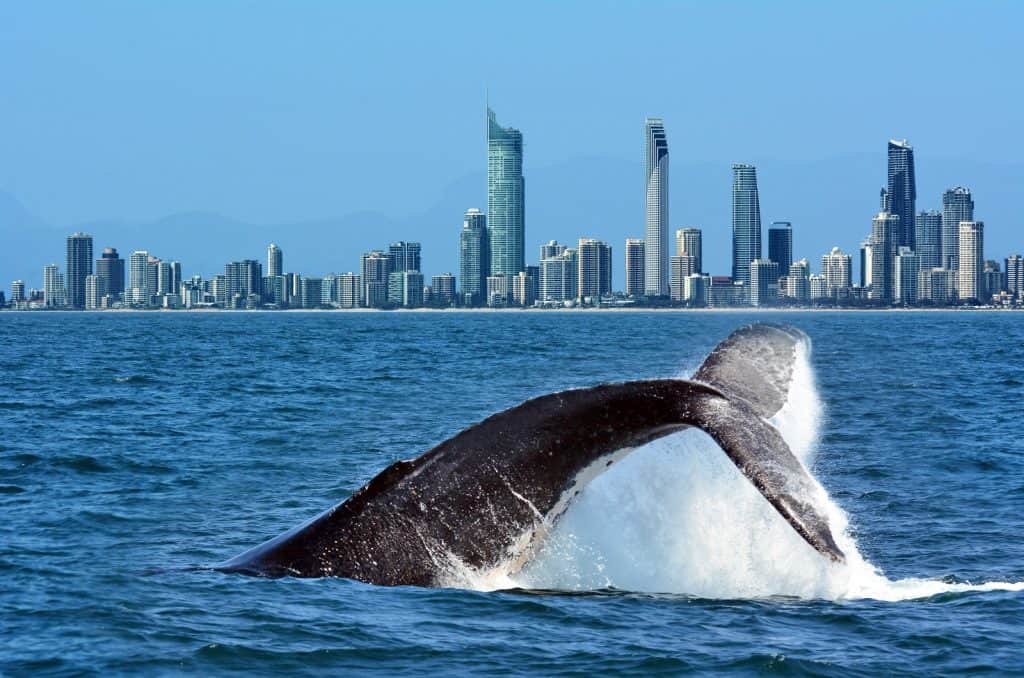 Queensland