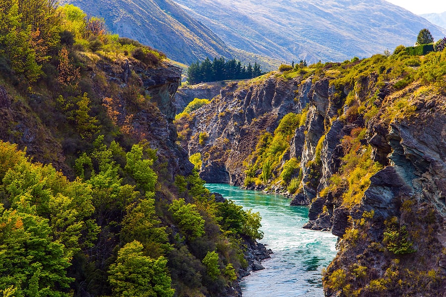 Language Schools New Zealand