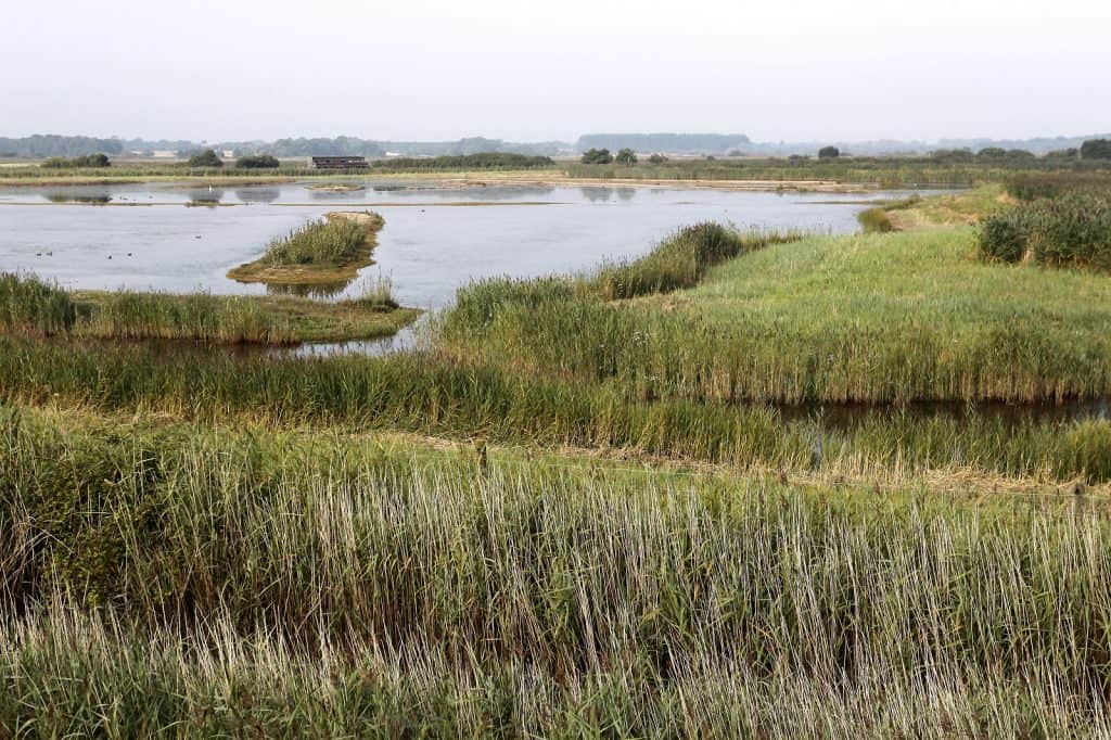 RSPB Minsmere