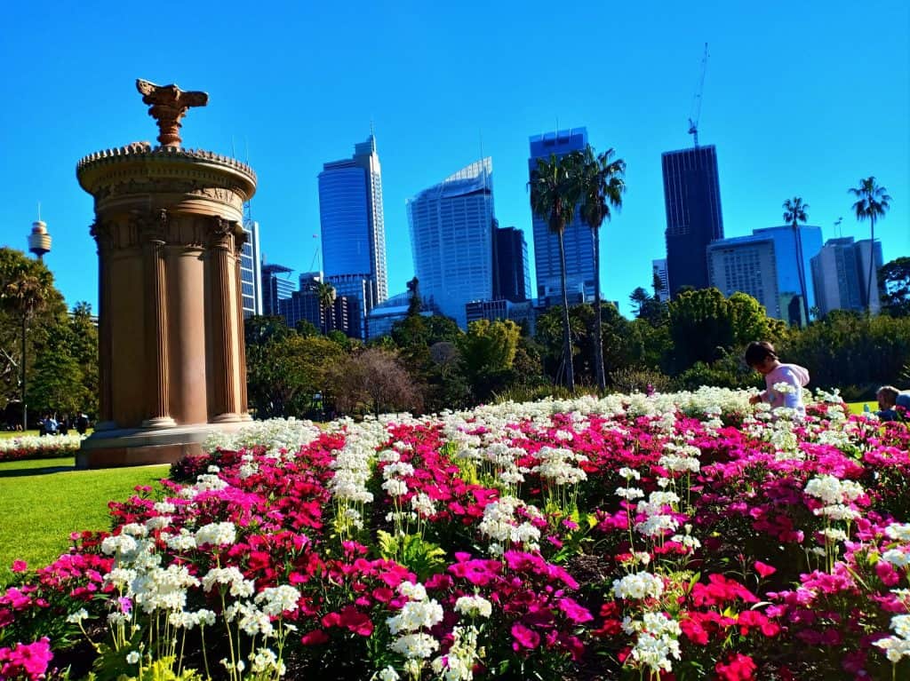 Real Jardín Botánico de Sídney