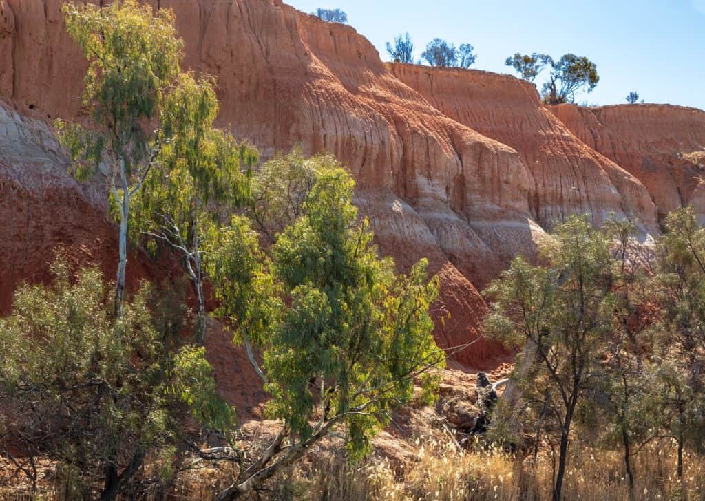 Red Cliffs