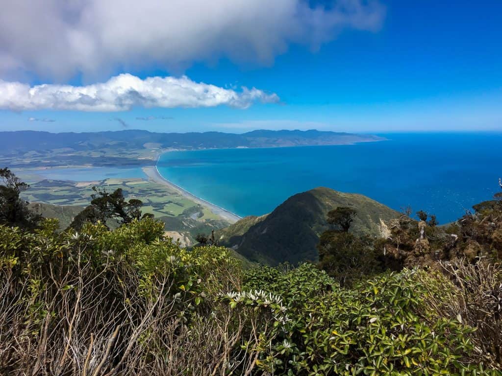 Rimutaka Forest Park