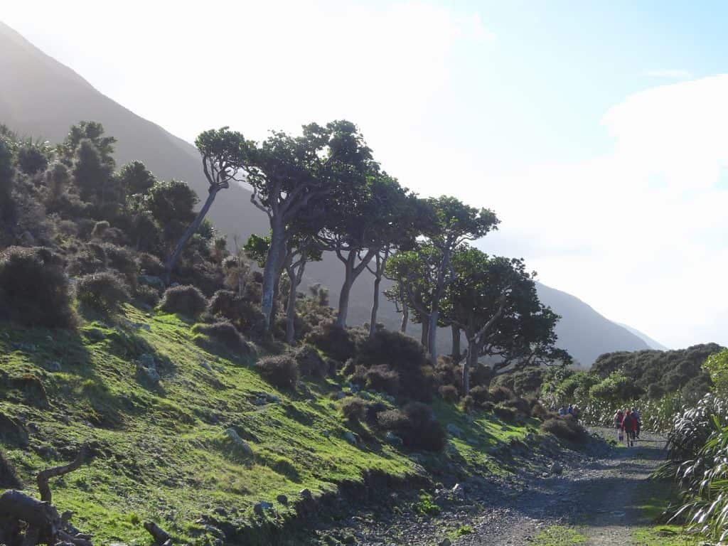 Rimutaka Forest Park