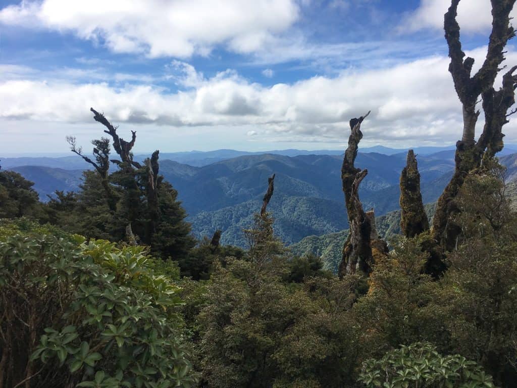 Rimutaka Forest Park