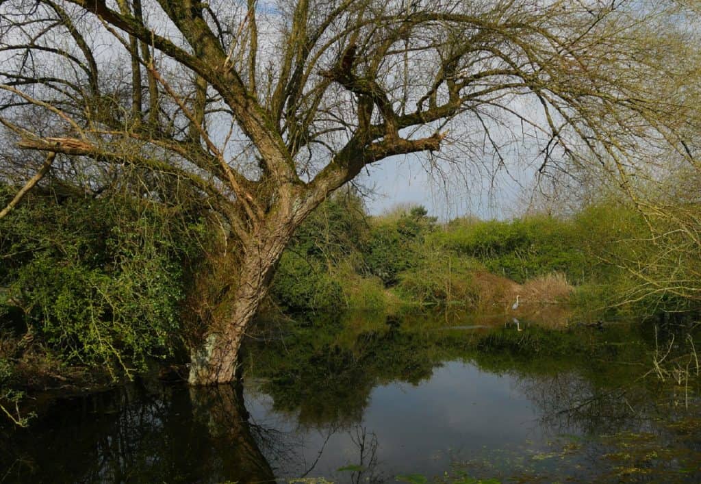 Río Misbourne