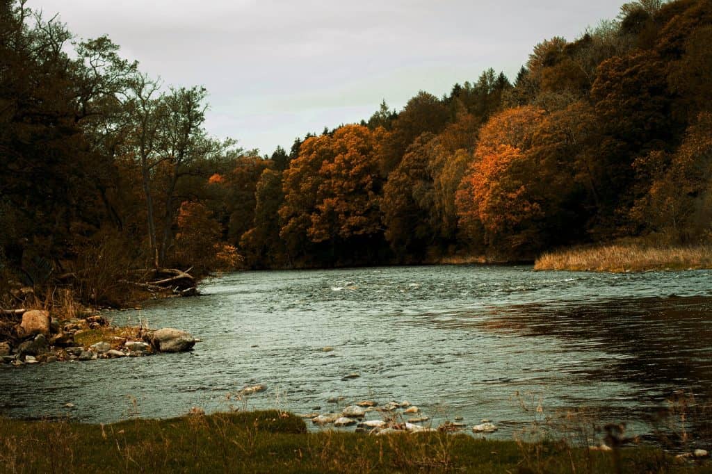 Río Edén