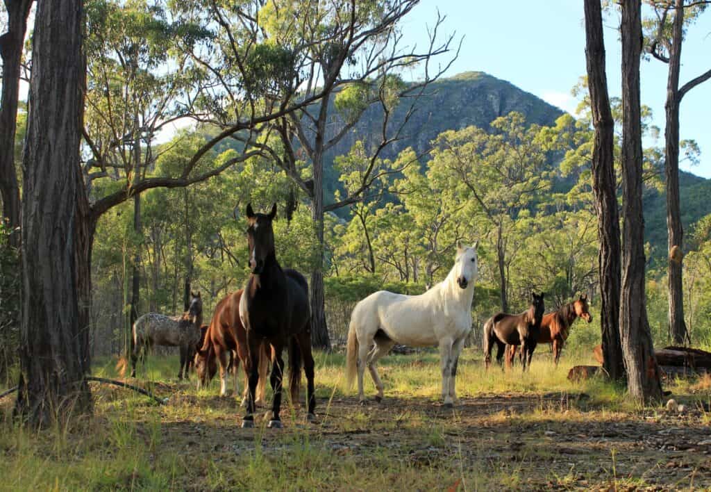 Rockhampton