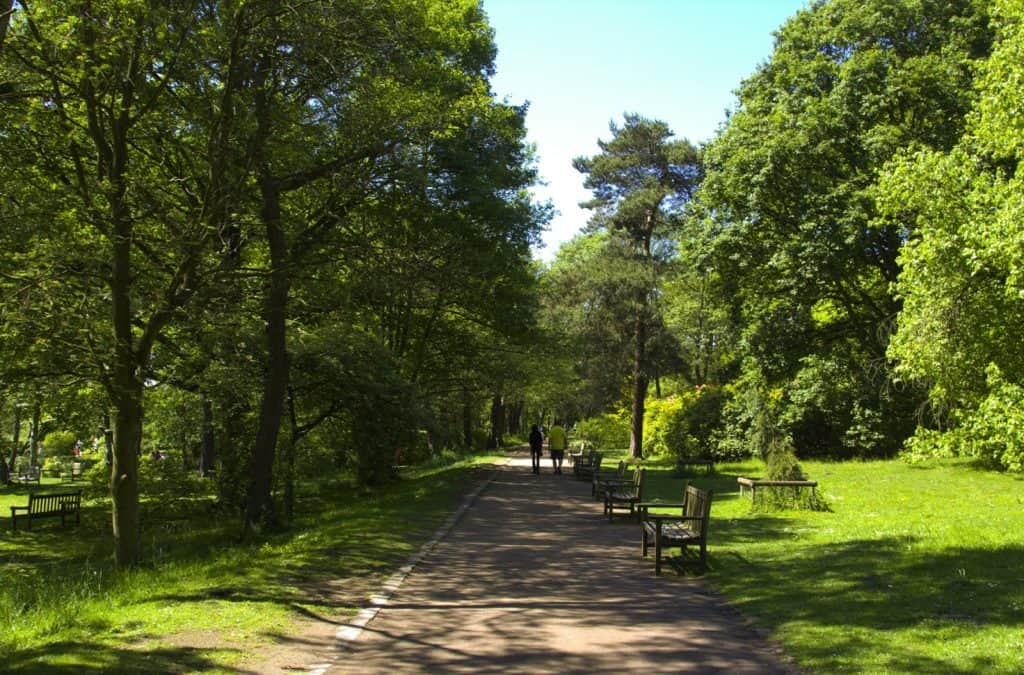 Roundhay Park