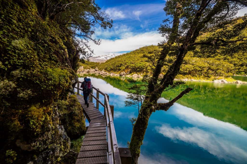 Routeburn Track