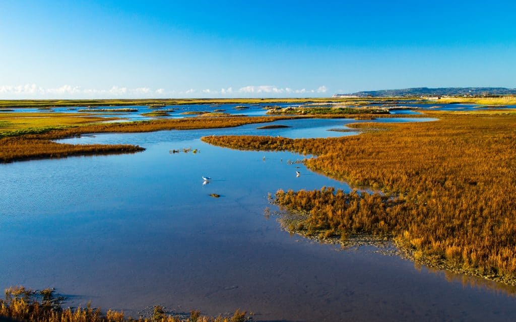Reserva Natural de Rye Harbour