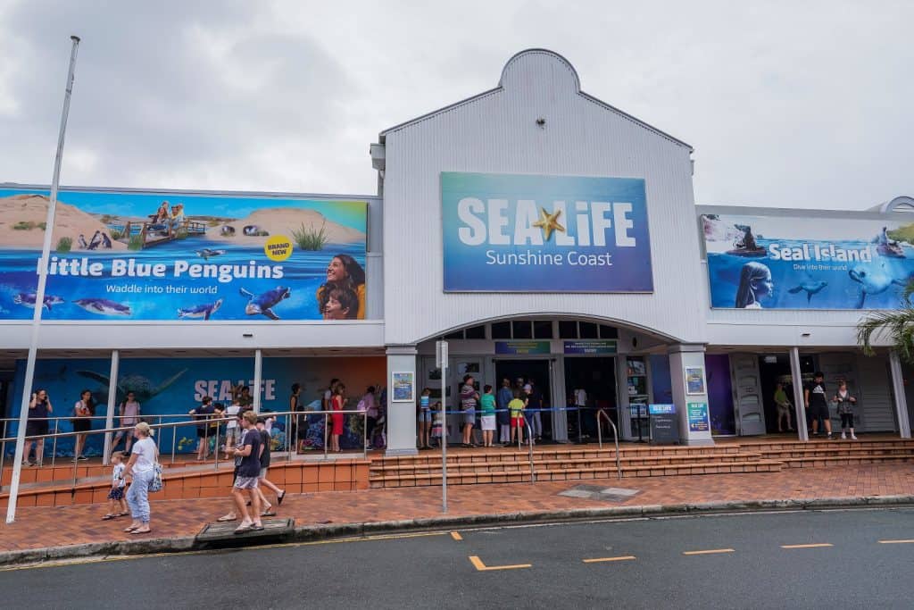 Vida Marina, Sunshine Coast 