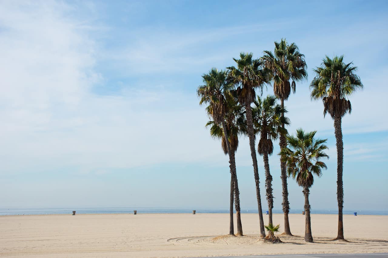 ELS Language Centers – Santa Monica