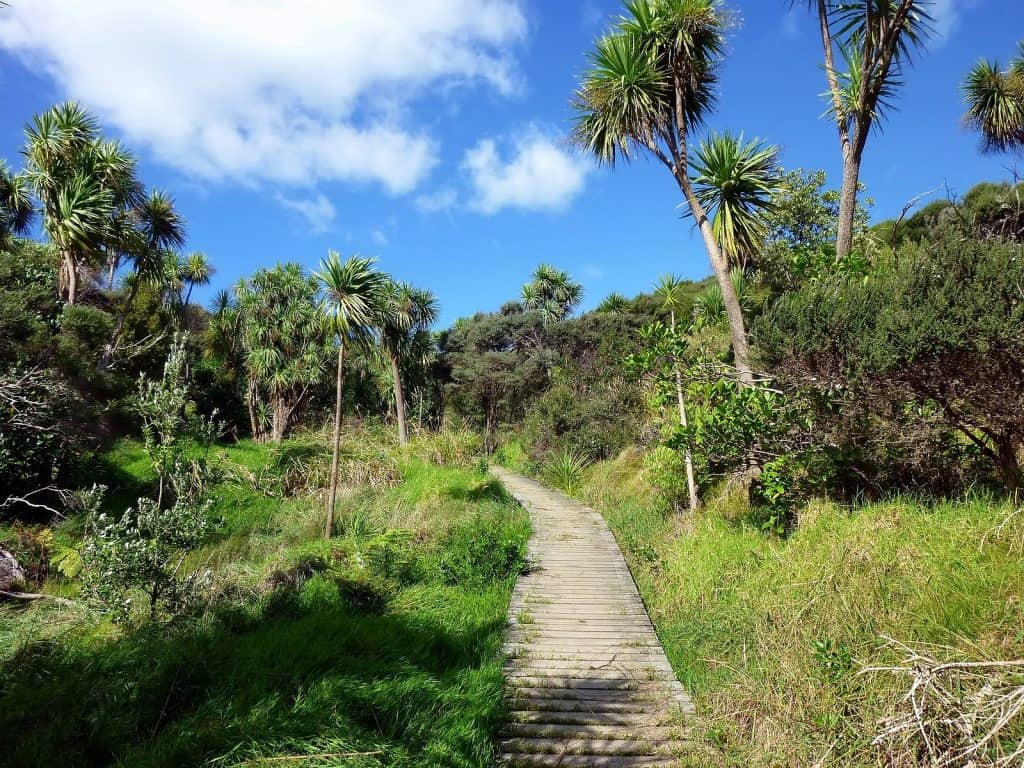 Shakespear Regional Park