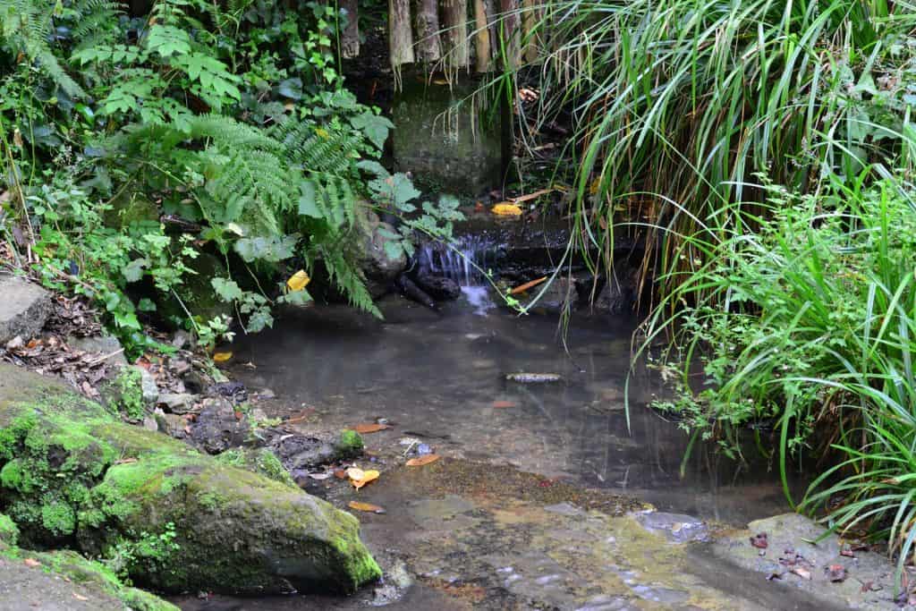 Shanklin Chine