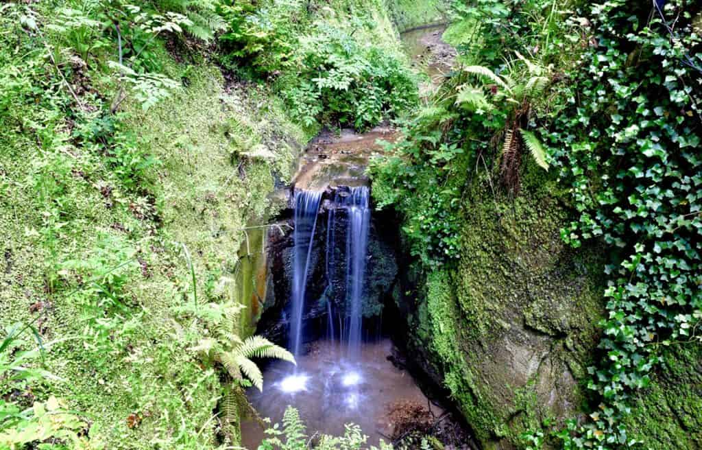 Shanklin Chine