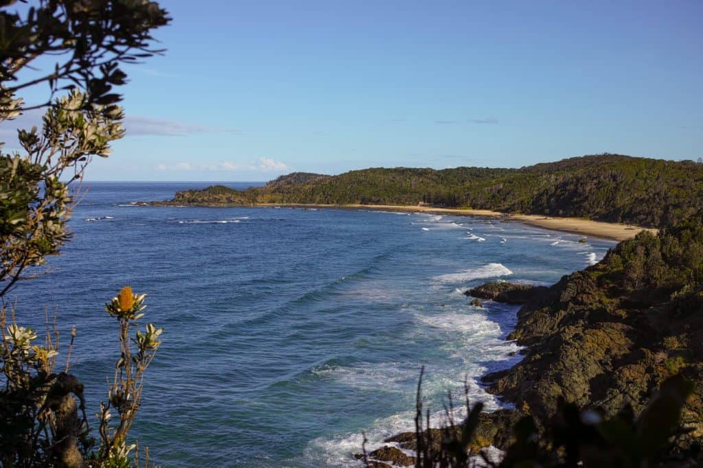 Shelly Beach