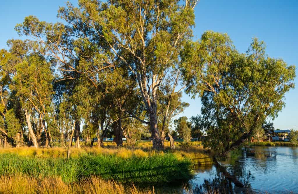 Parque Regional Shepparton