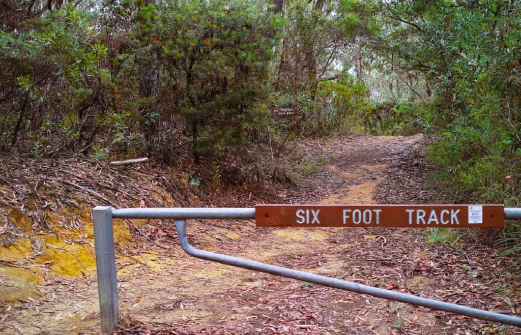 Six Foot Track