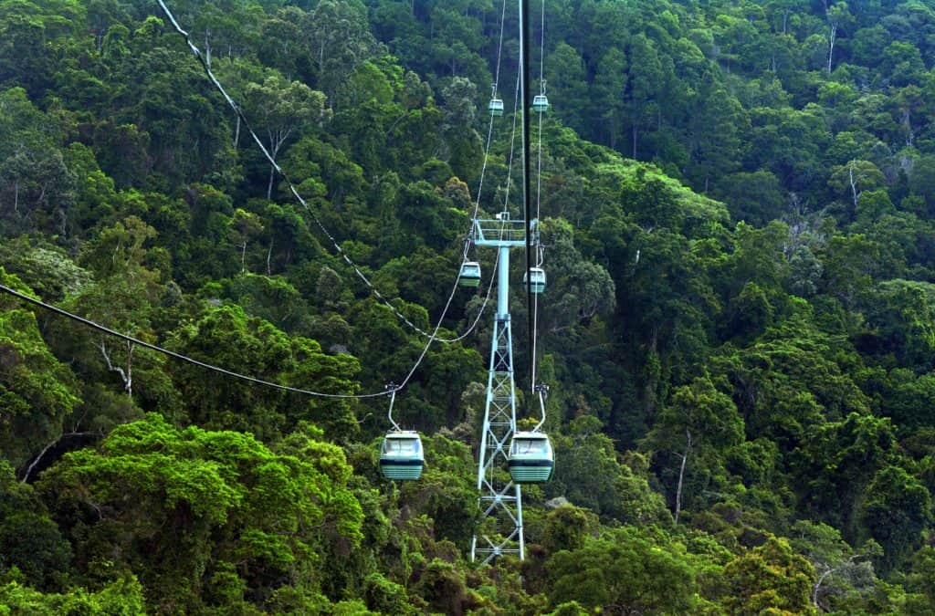 Skyrail Rainforest Cableway