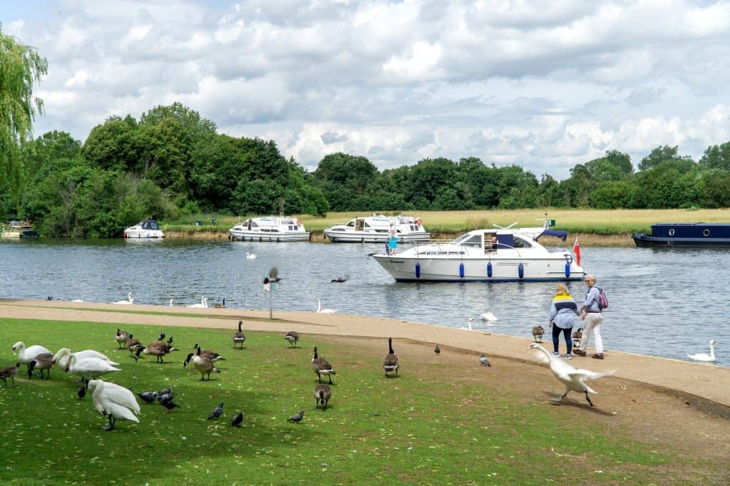 Slough
