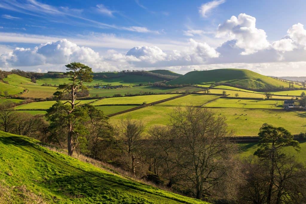 Somerset