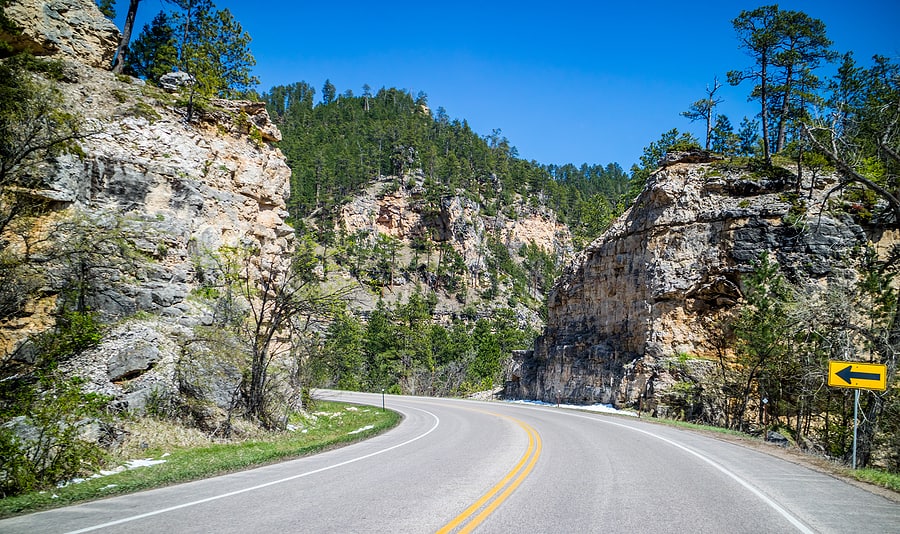 Black Hills State University
