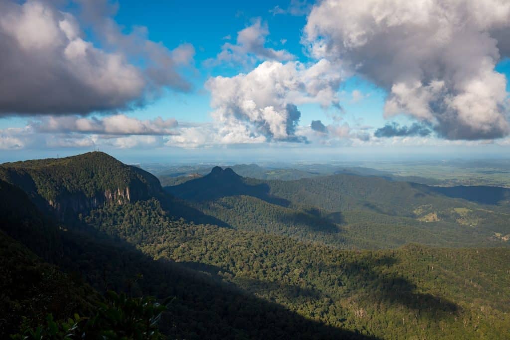 Springbrook Mountain