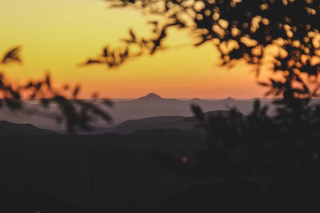 Springbrook Mountain