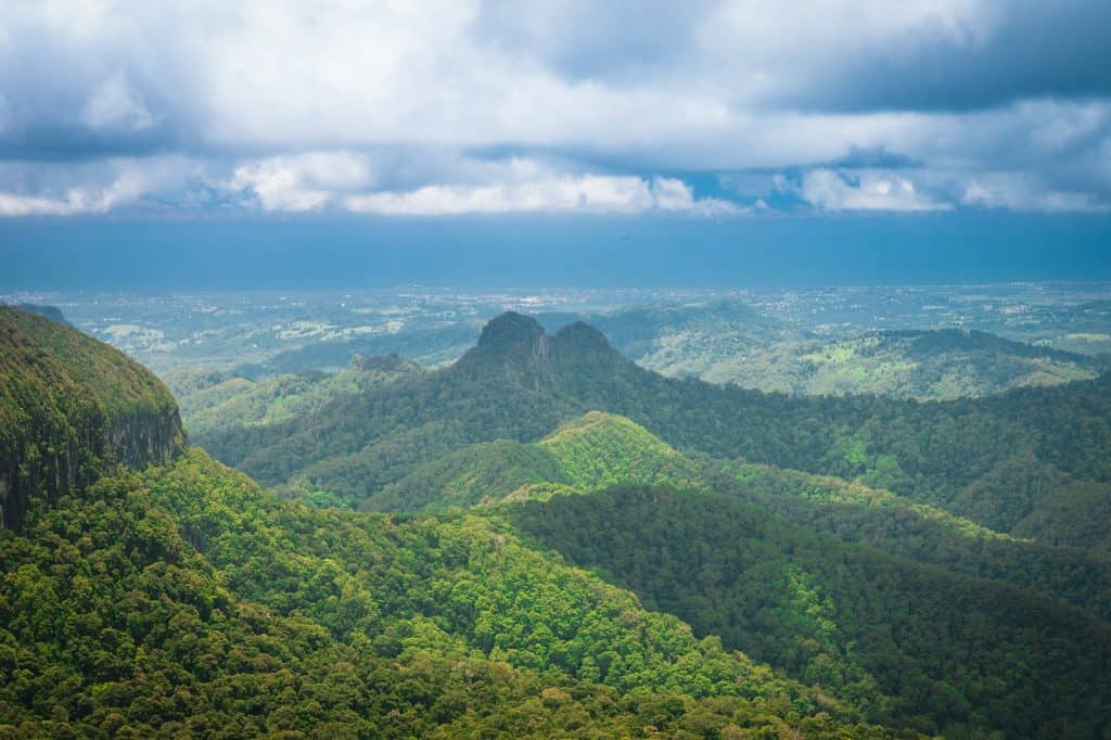 Springbrook Mountain