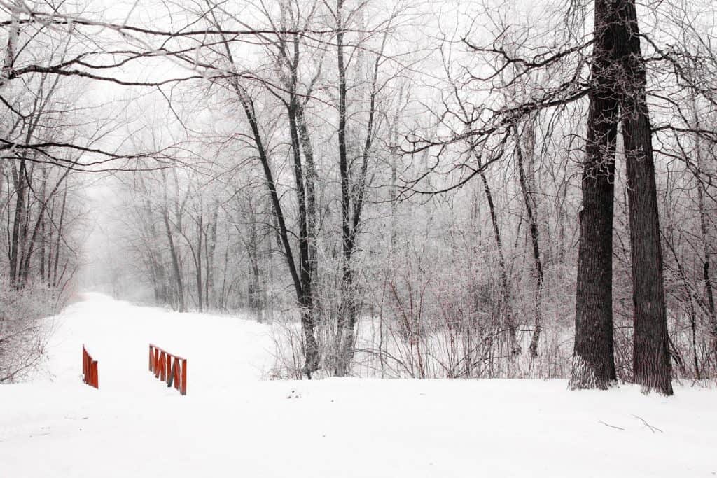 St.Vital parque