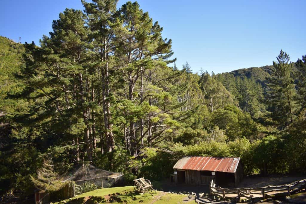 Staglands Wildlife Reserve